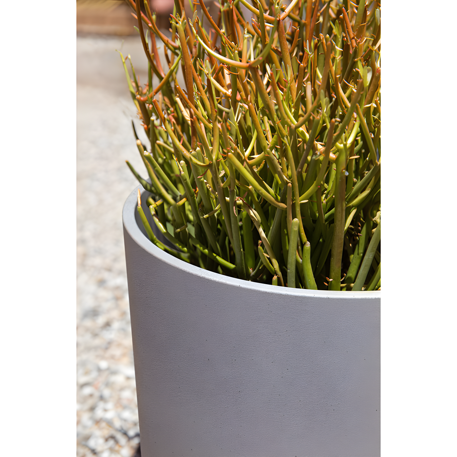 Mason Series Kona Planter