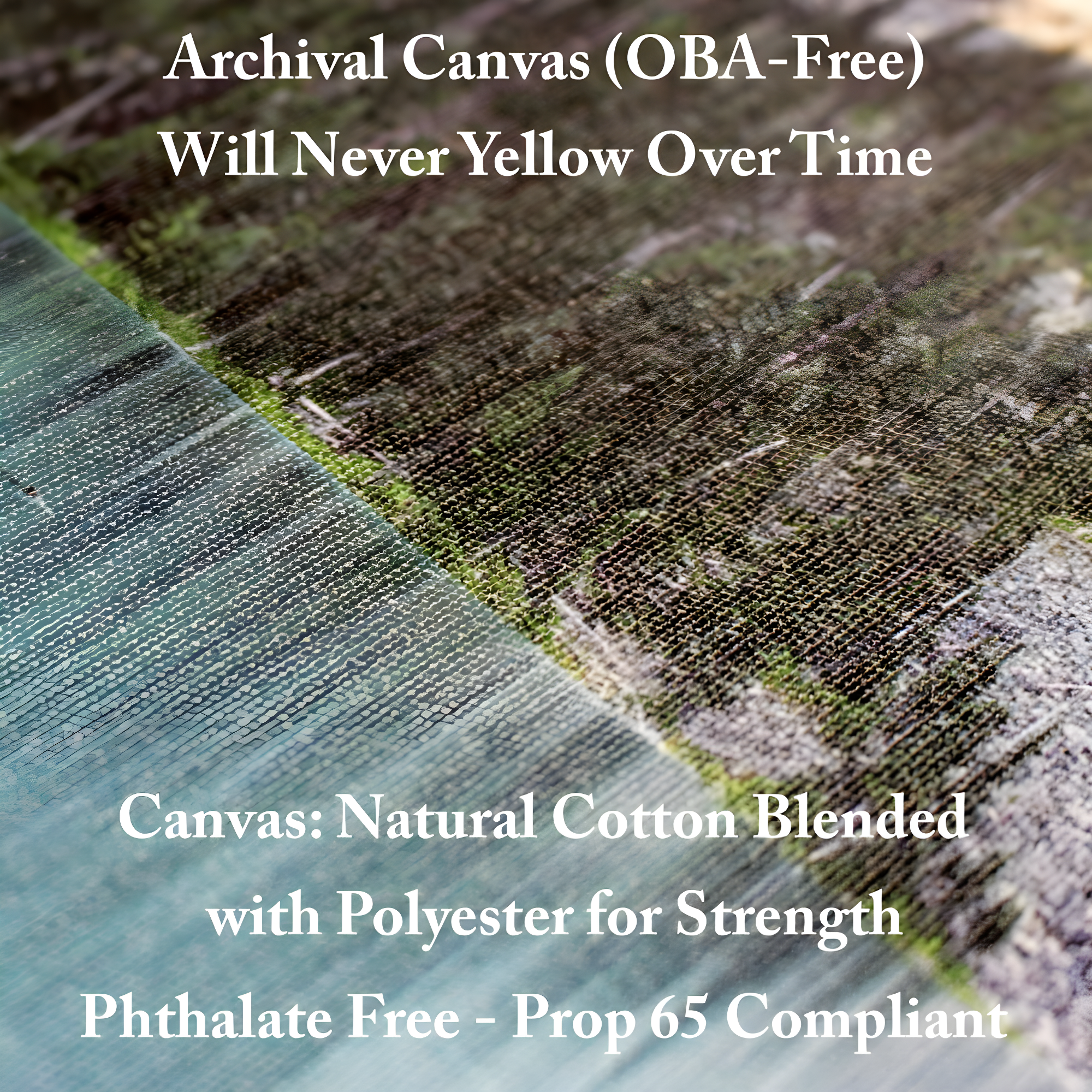 Trademark Fine Art Sylvie Demers " La Vie Comme Un Passage " by Sylvie Demers