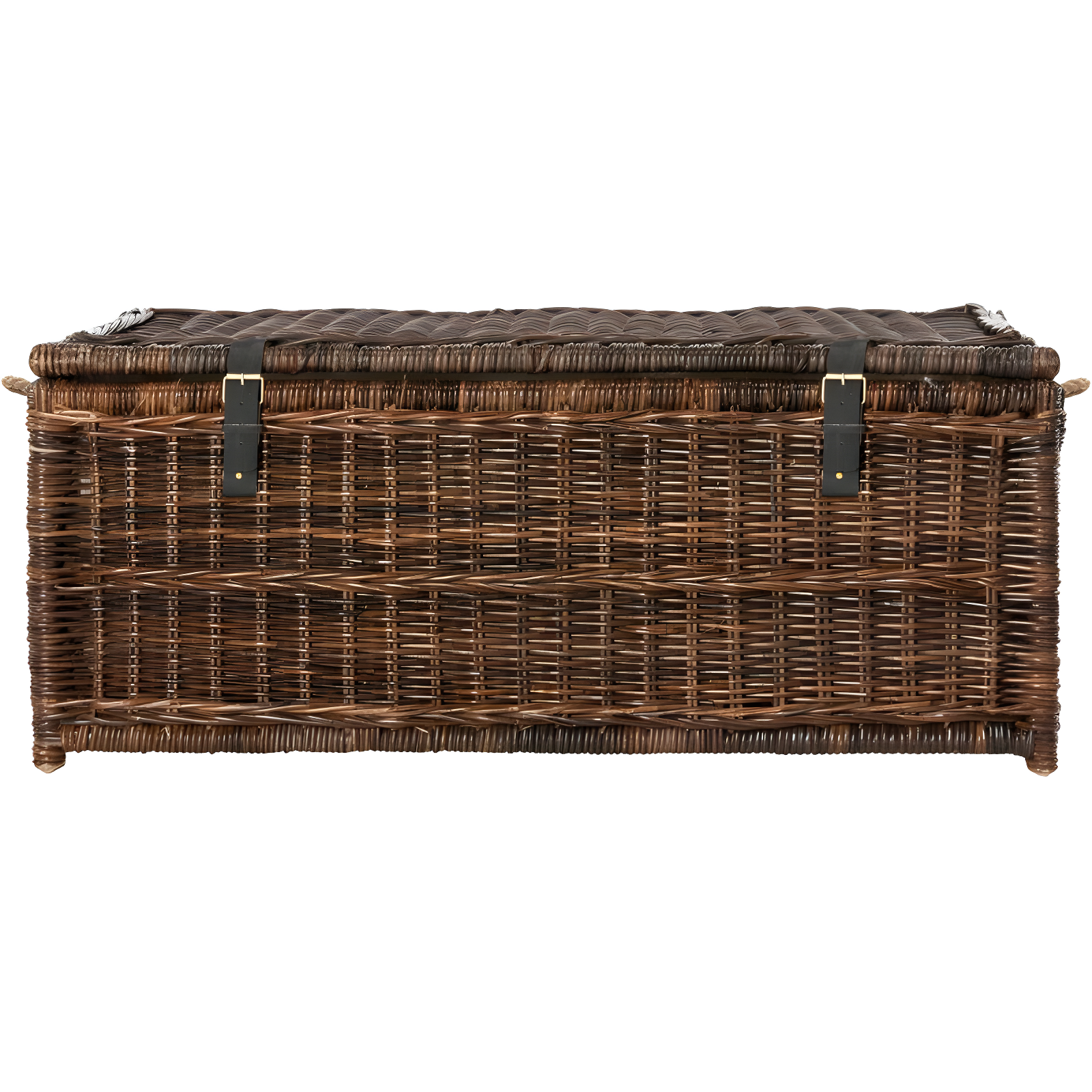 happimess Caden 46" Wicker Storage Trunk