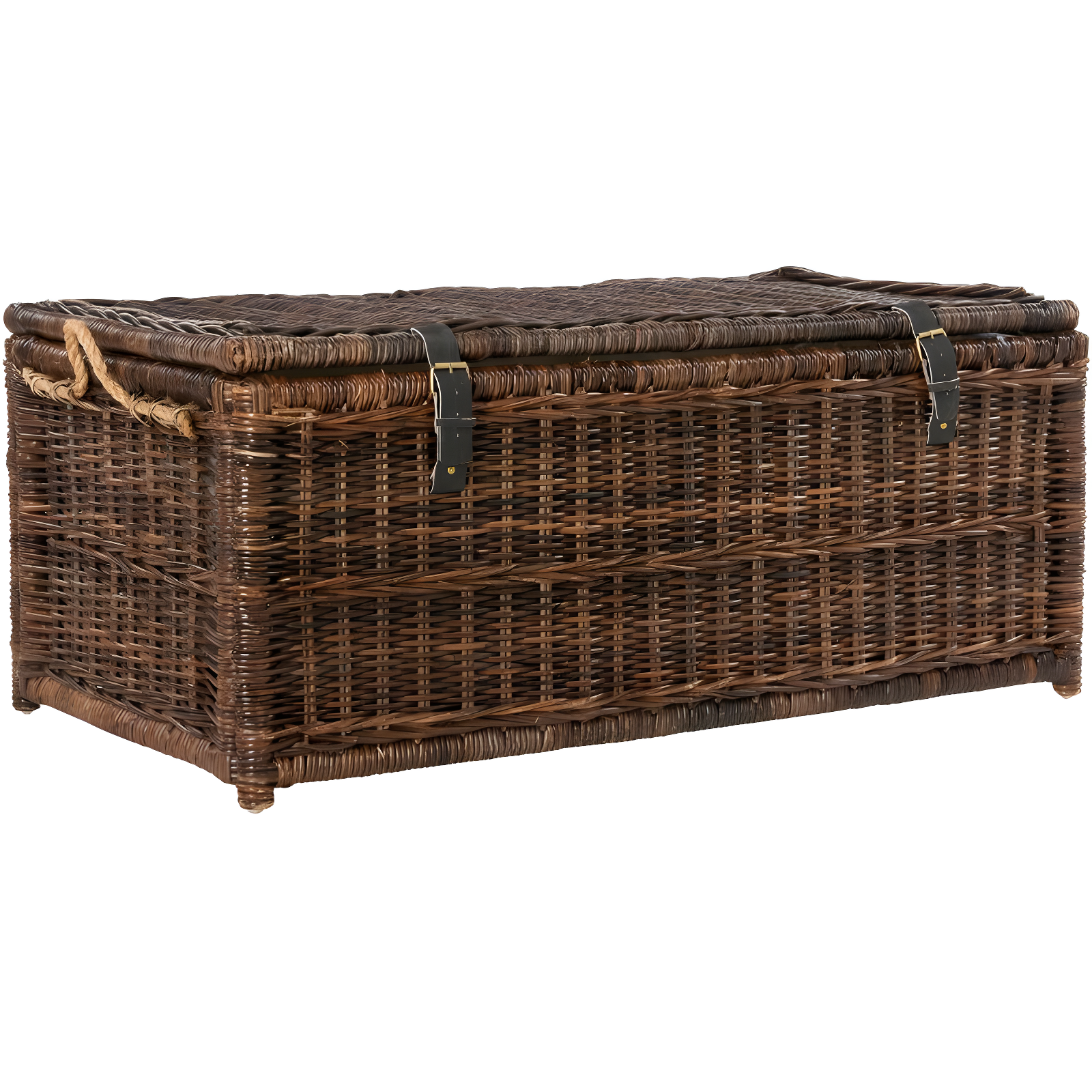 happimess Caden 46" Wicker Storage Trunk