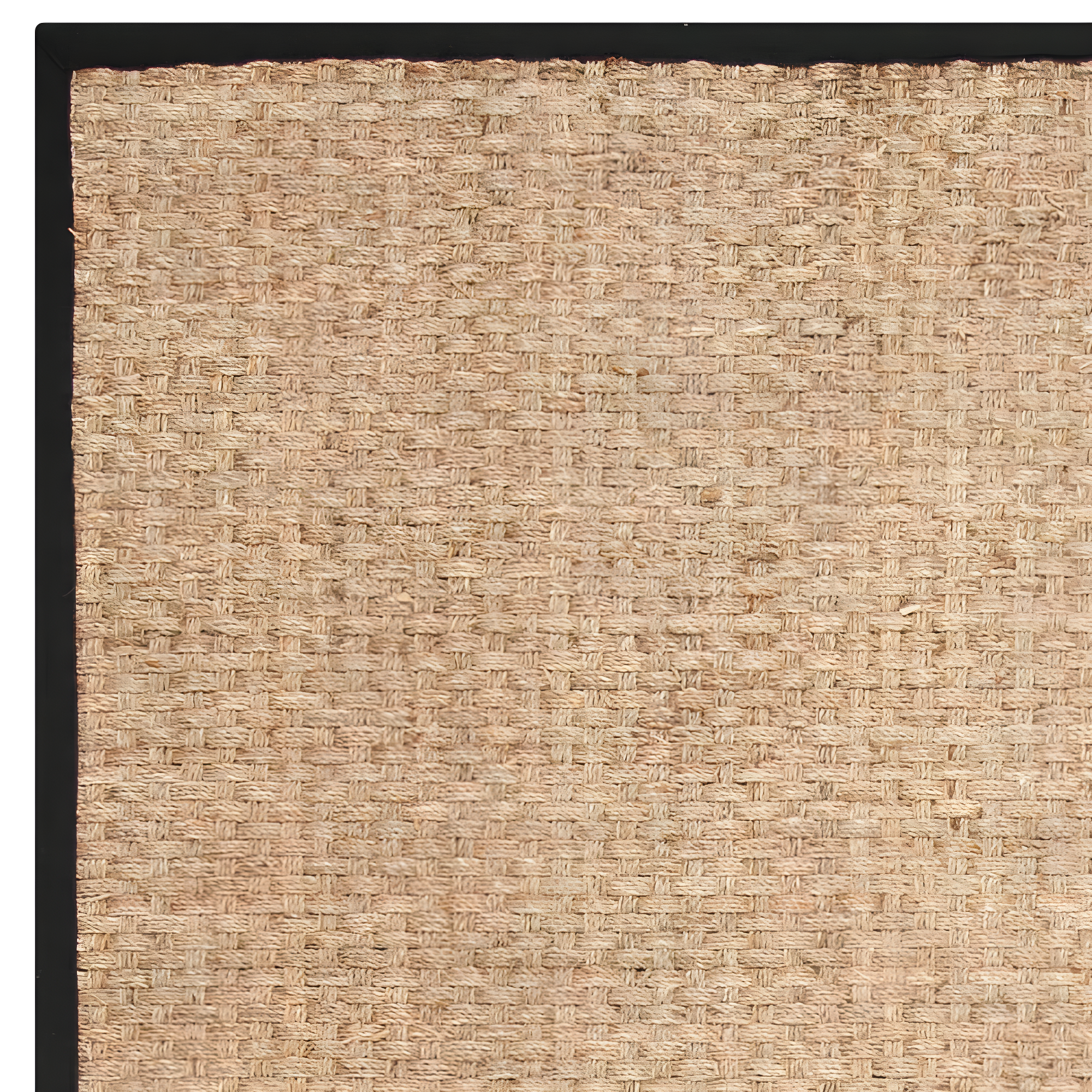 Natural Fiber NF114 Power Loomed Indoor Area Rug - Natural/Black - 9'x12' - Safavieh