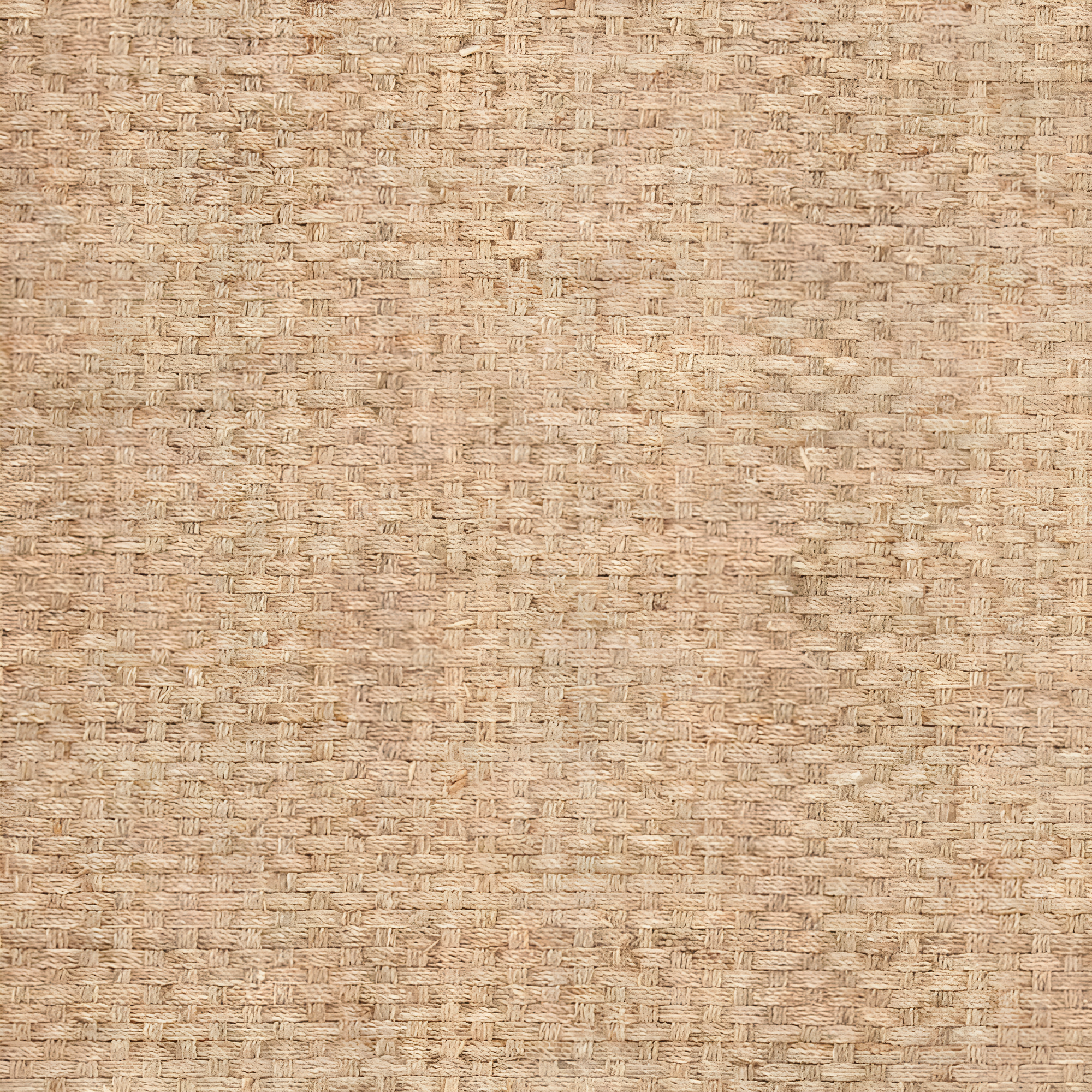 Natural Fiber NF114 Power Loomed Indoor Area Rug - Natural/Black - 9'x12' - Safavieh
