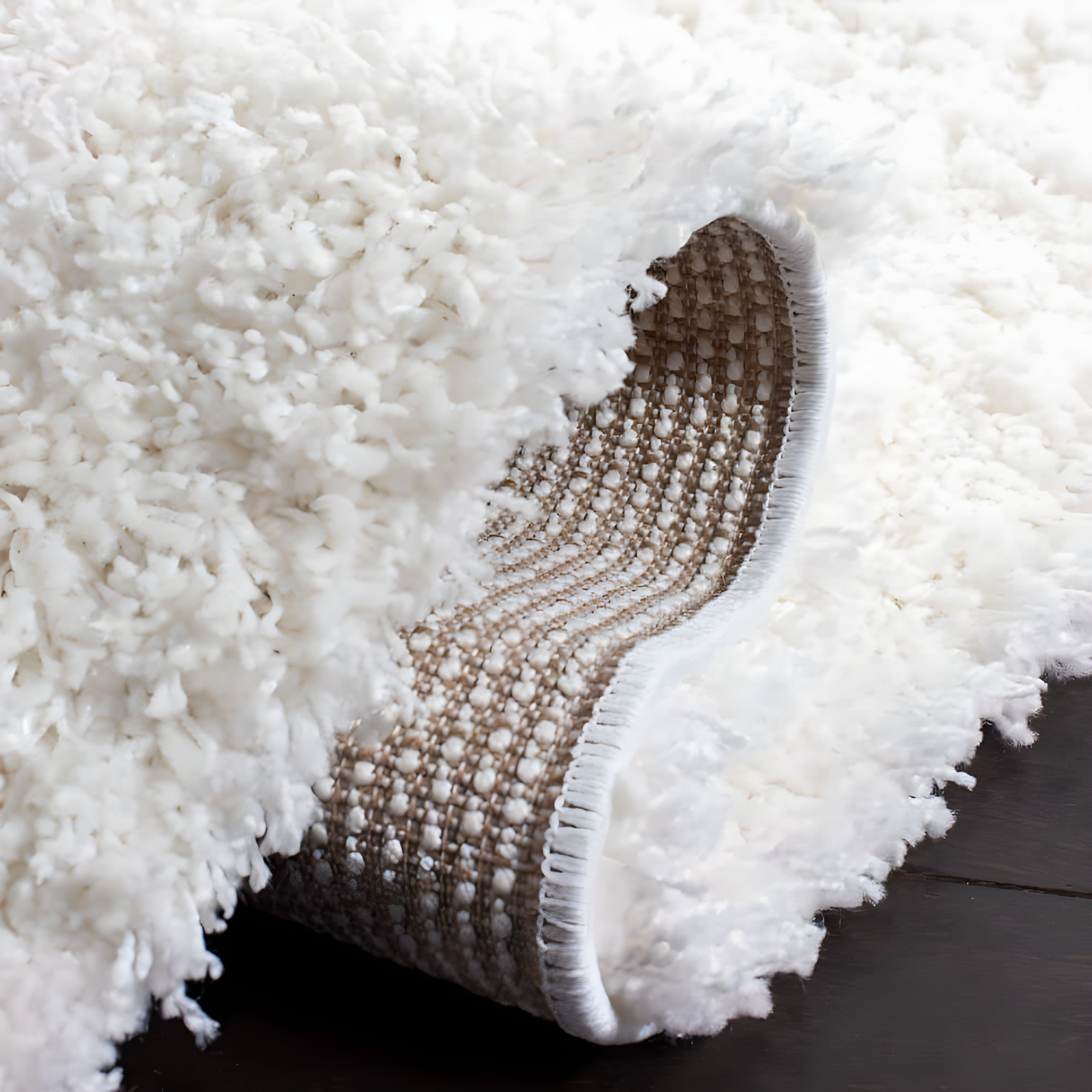 Shag SG151 Power Loomed Indoor Area Rug - White - 4'x4' - Safavieh.