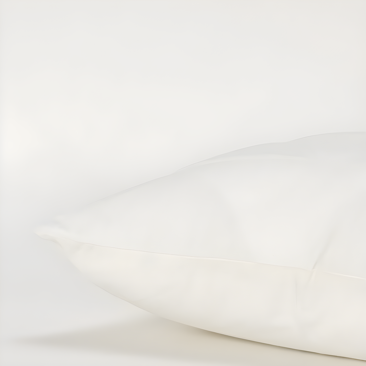 Joshelin Embroidered Cotton Throw Pillow