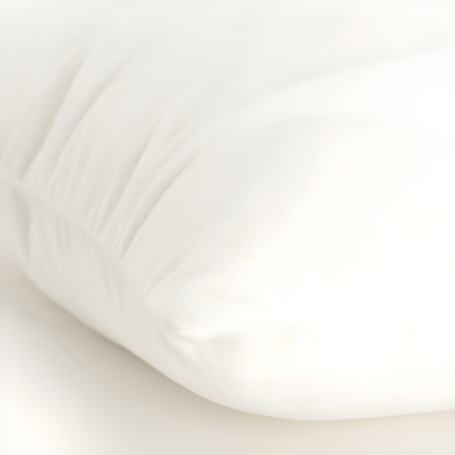 Joshelin Embroidered Cotton Throw Pillow