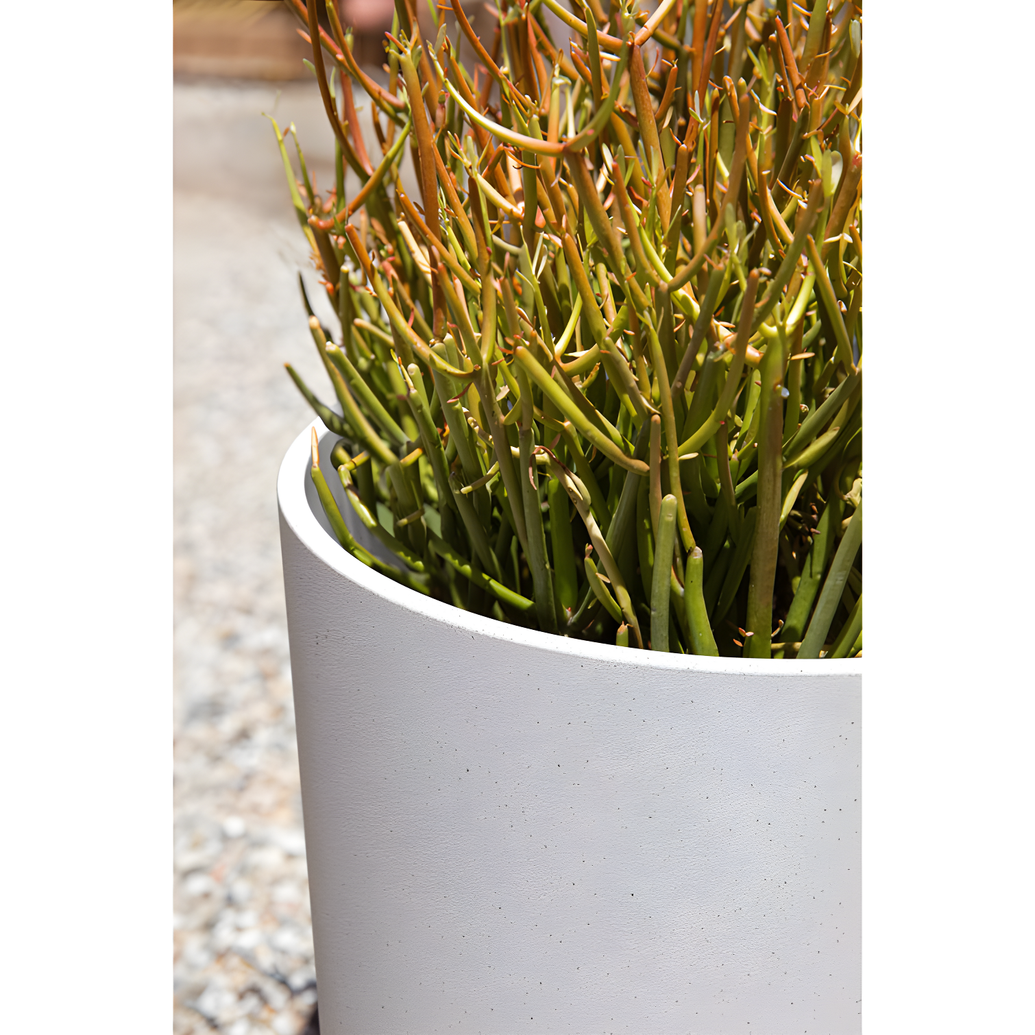 Mason Series Kona Planter
