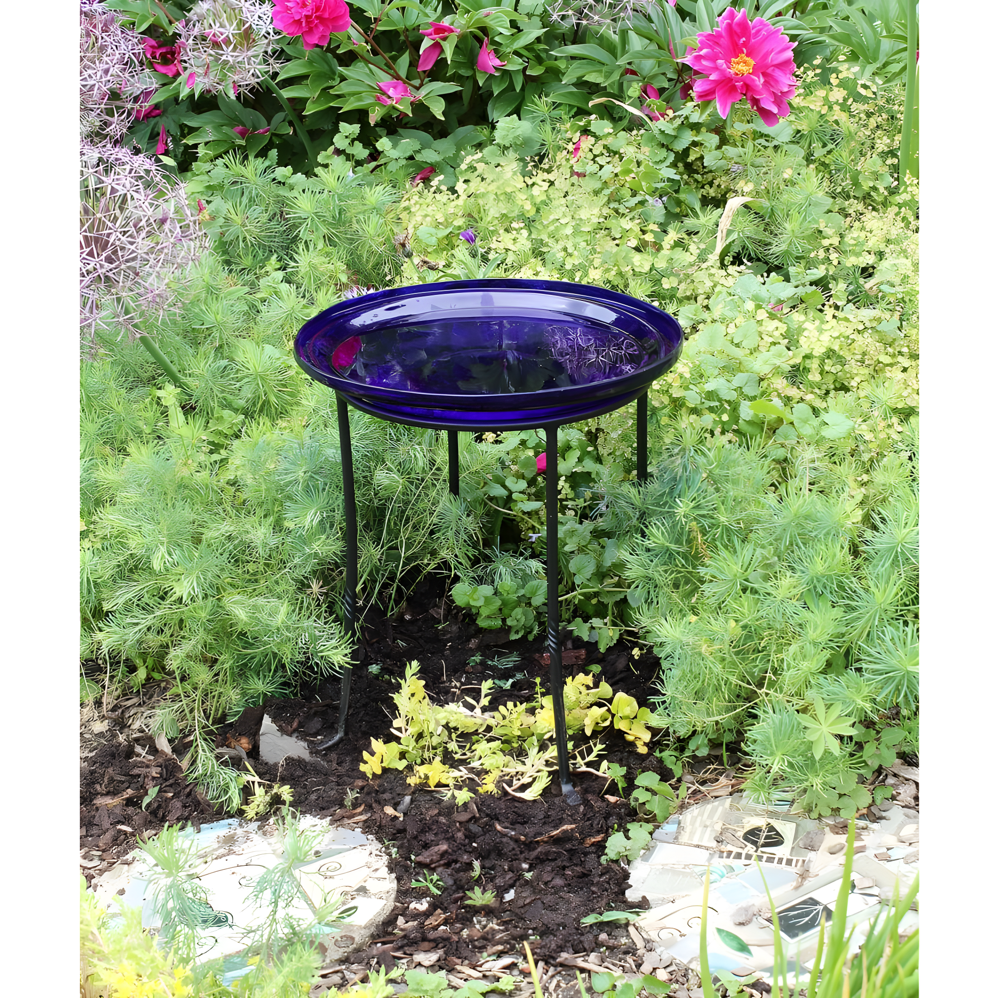 Winston Porter Drumnasole Iron Pedestal Birdbath