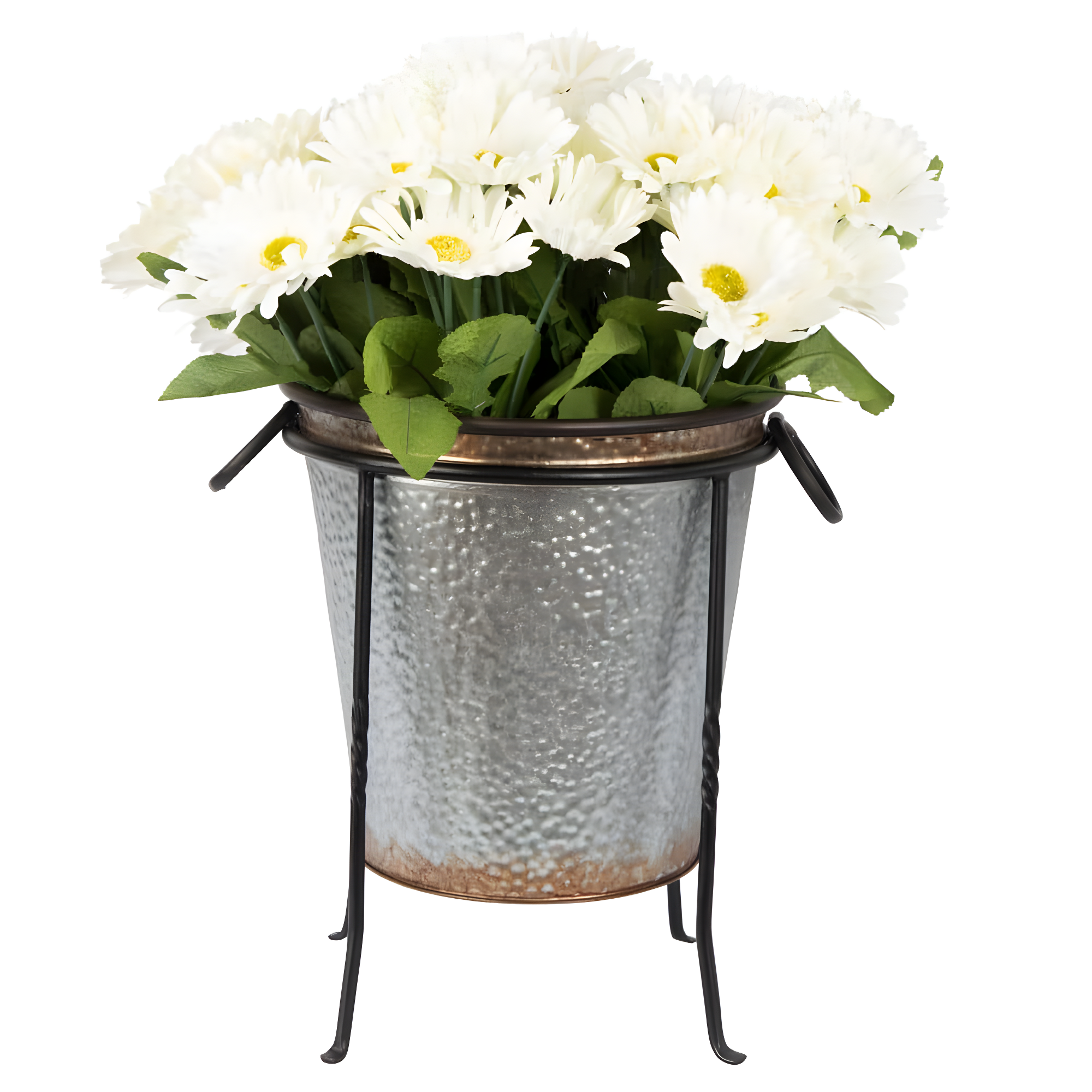 Winston Porter Drumnasole Iron Pedestal Birdbath