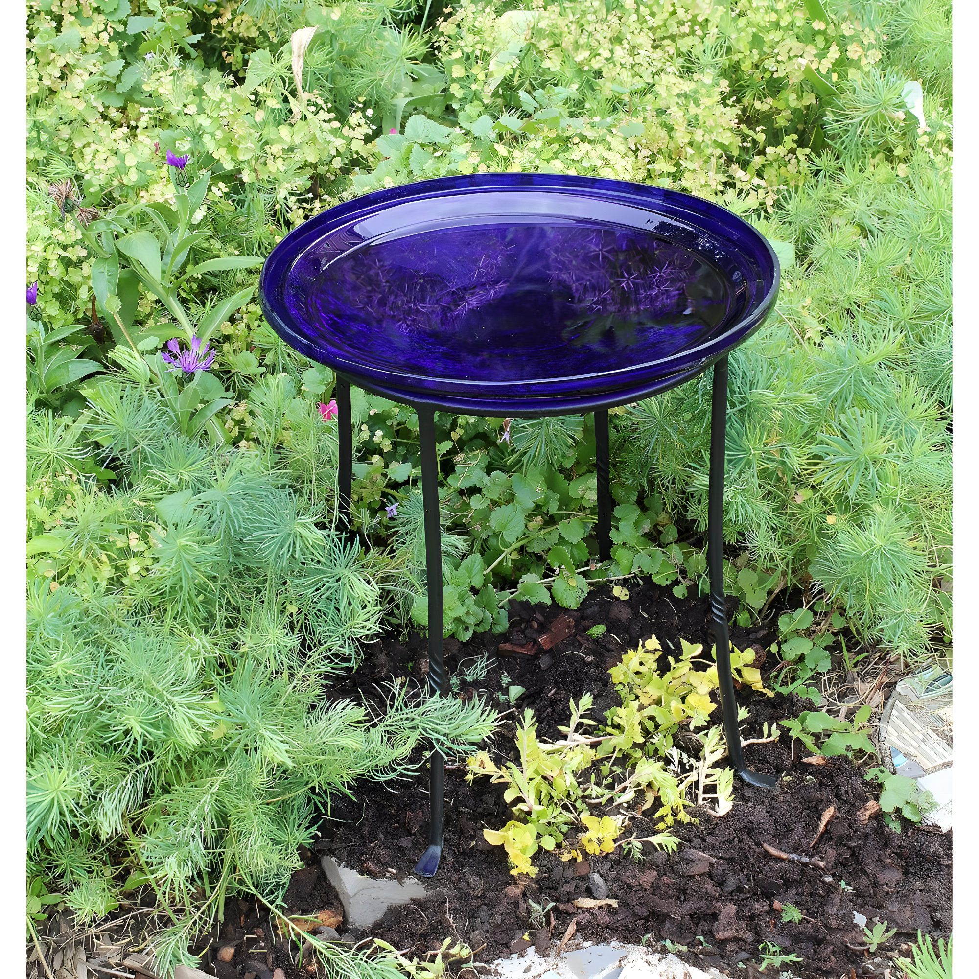 Winston Porter Drumnasole Iron Pedestal Birdbath