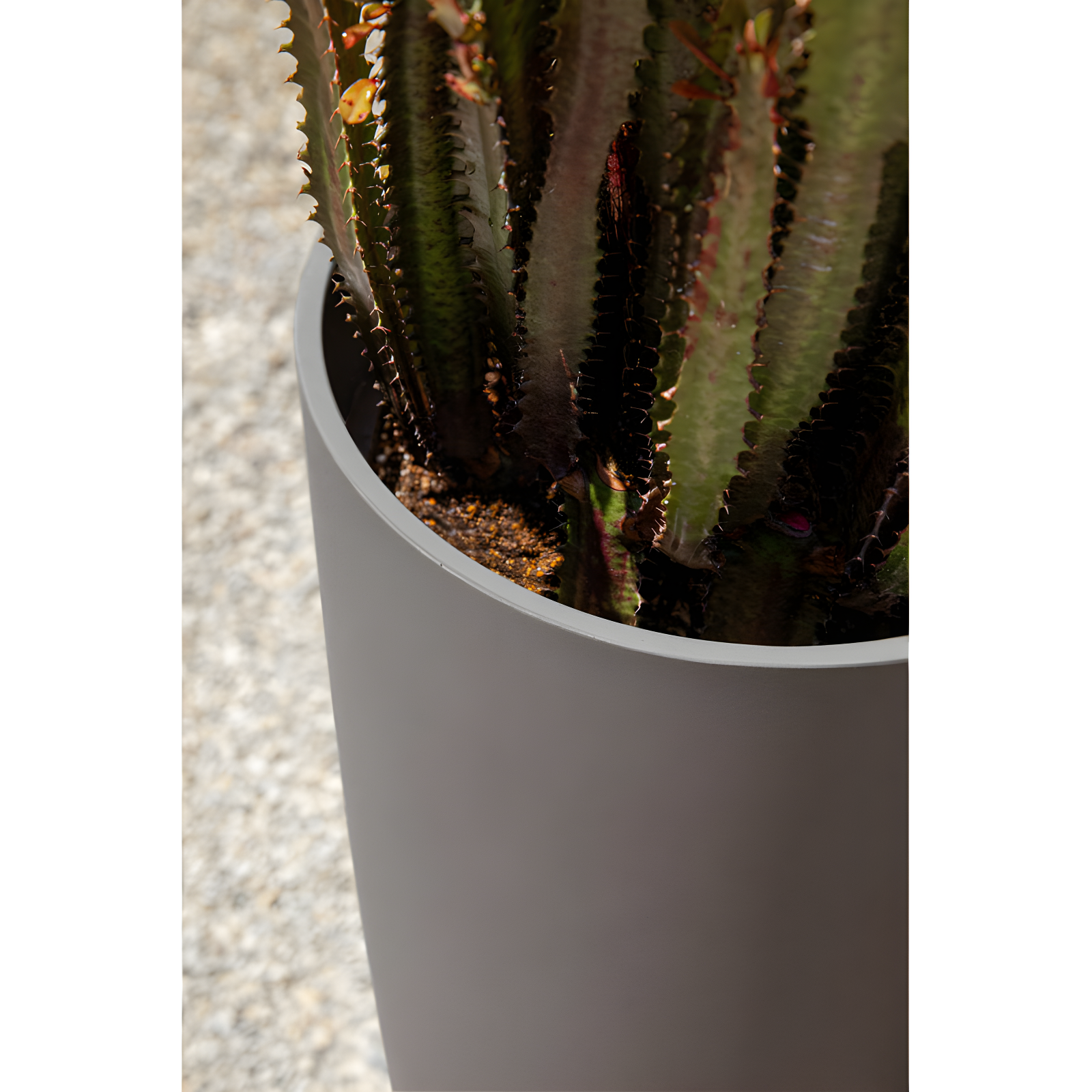 Mason Series Selena Planter