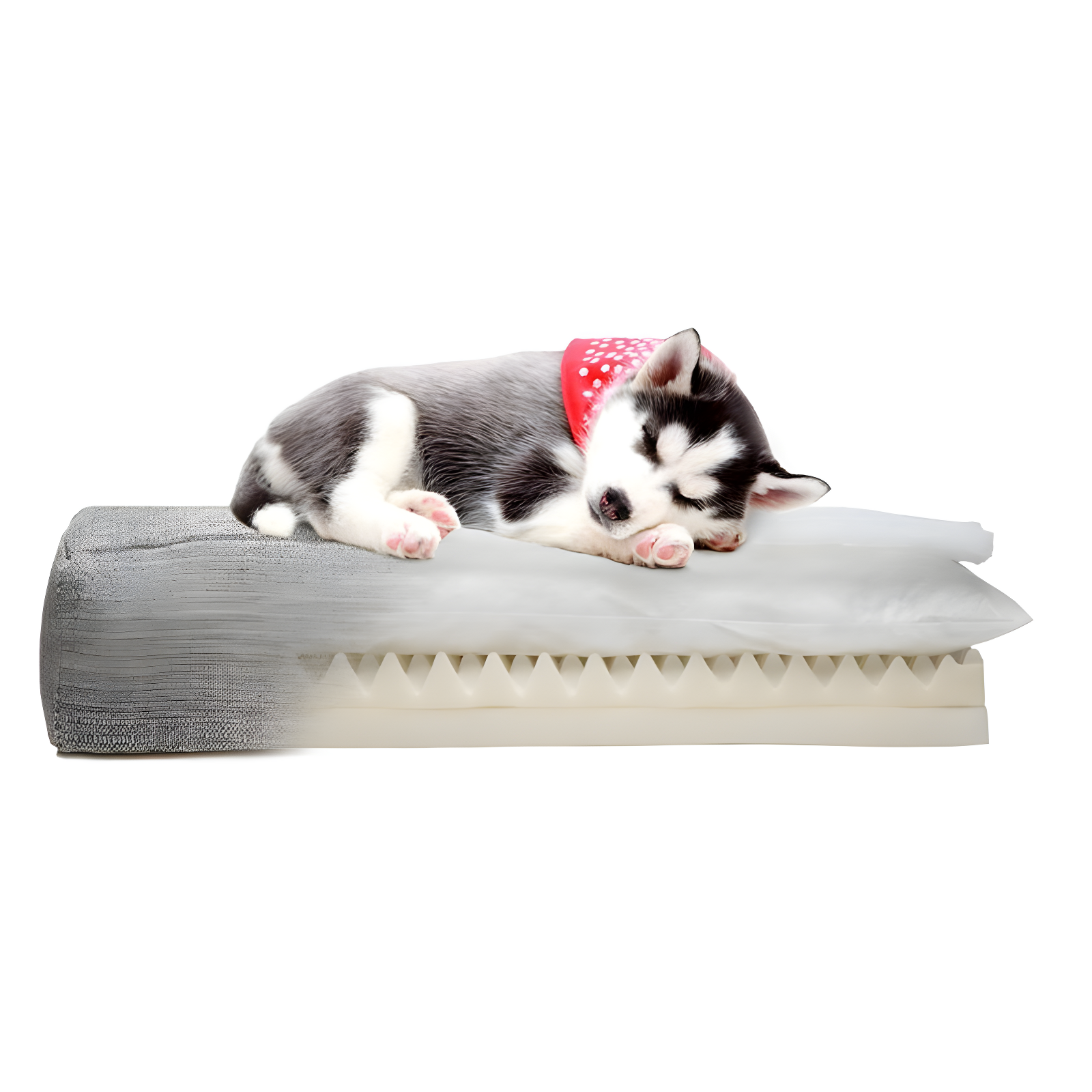 Club Nine Pets Metro Orthopedic Dog Sofa Bed - Oatmeal - L