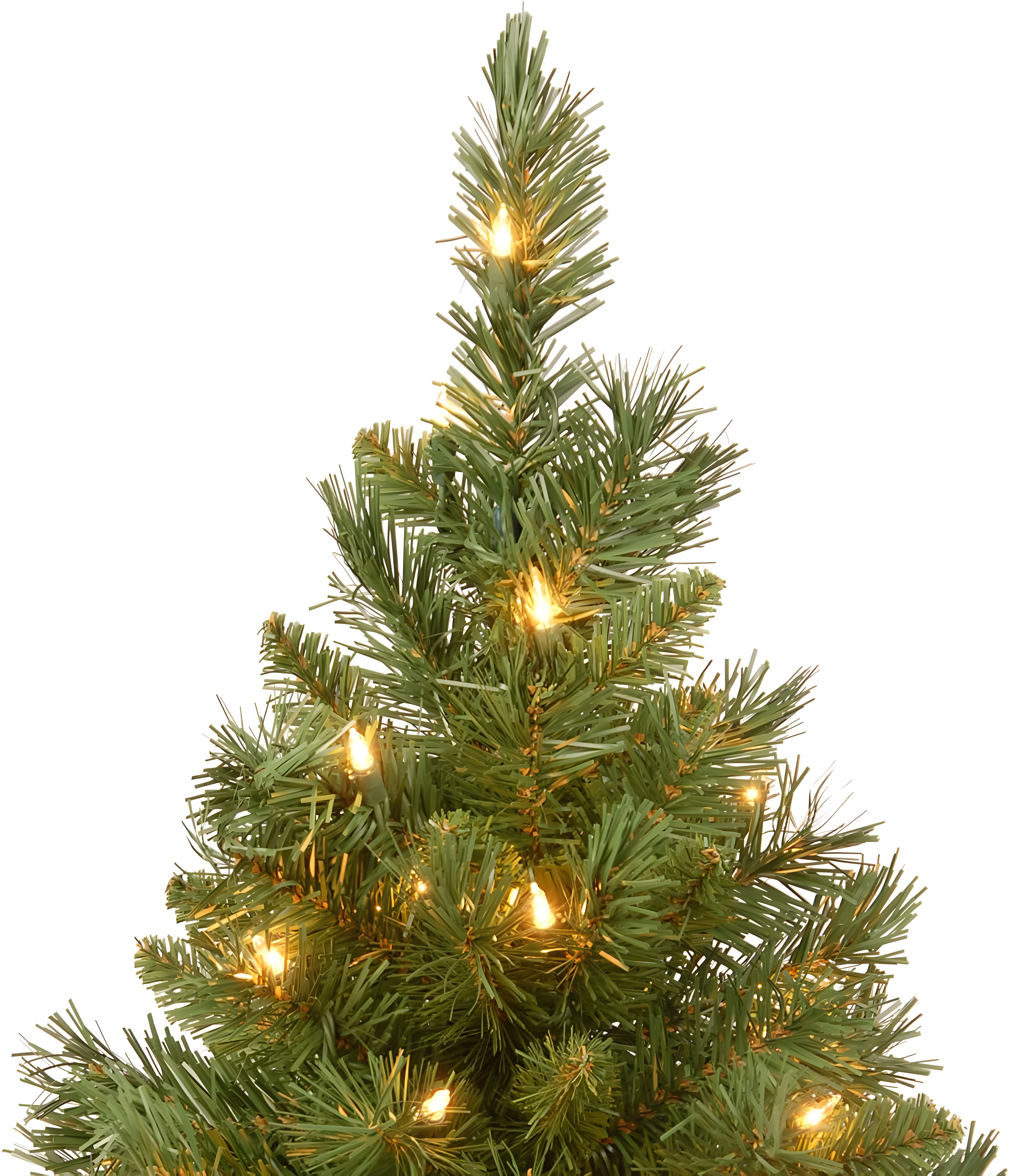The Holiday Aisle® 2ft. Majestic Fir Tree with Clear Lights