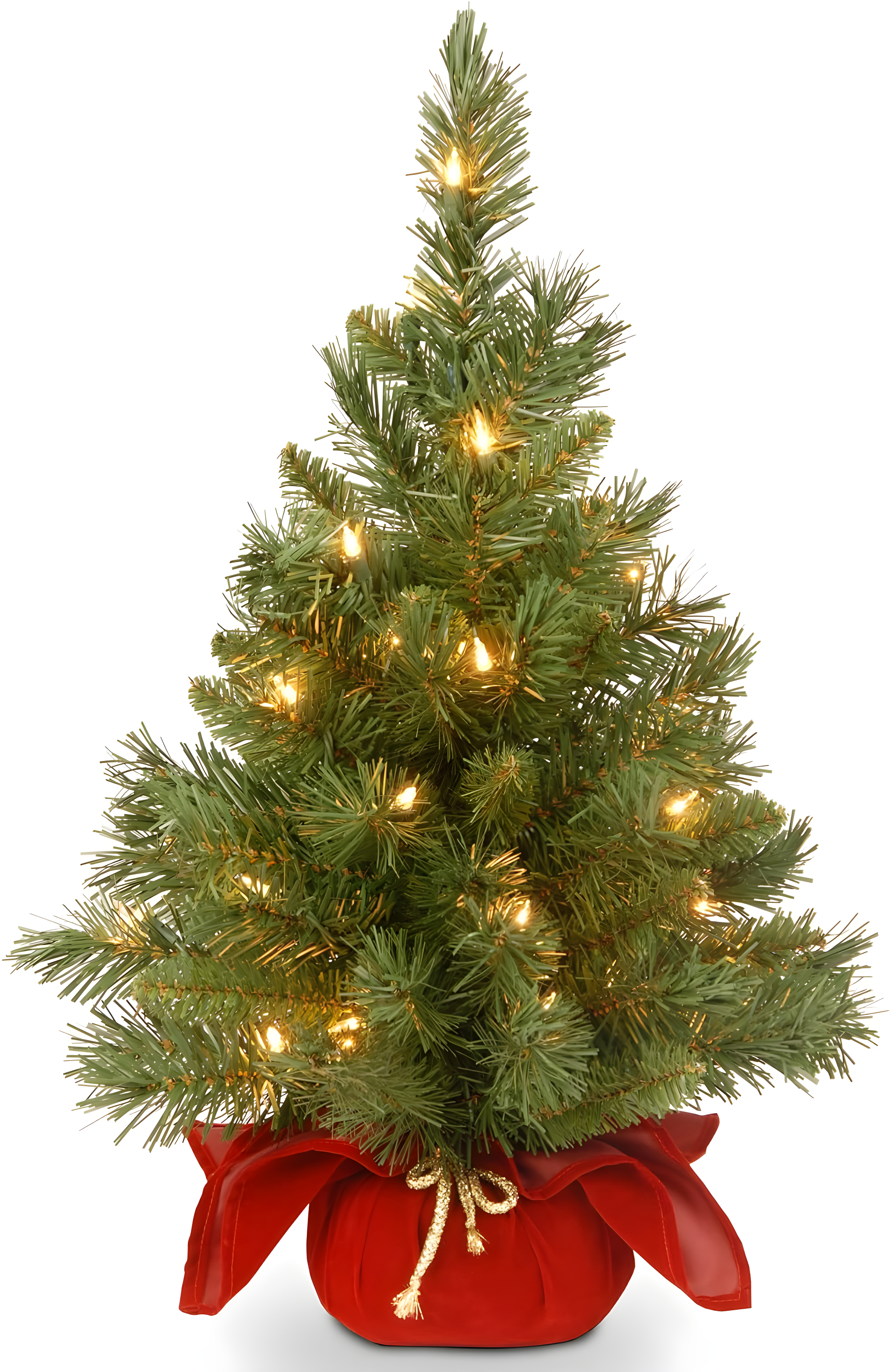 The Holiday Aisle® 2ft. Majestic Fir Tree with Clear Lights