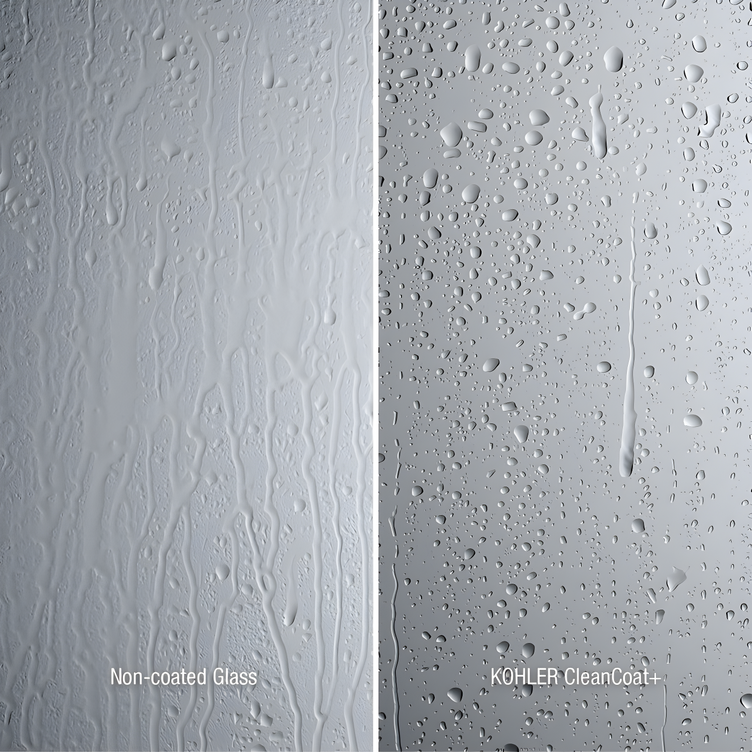 Levity 59.63" x 74" Bypass Shower Door with CleanCoat® Technology