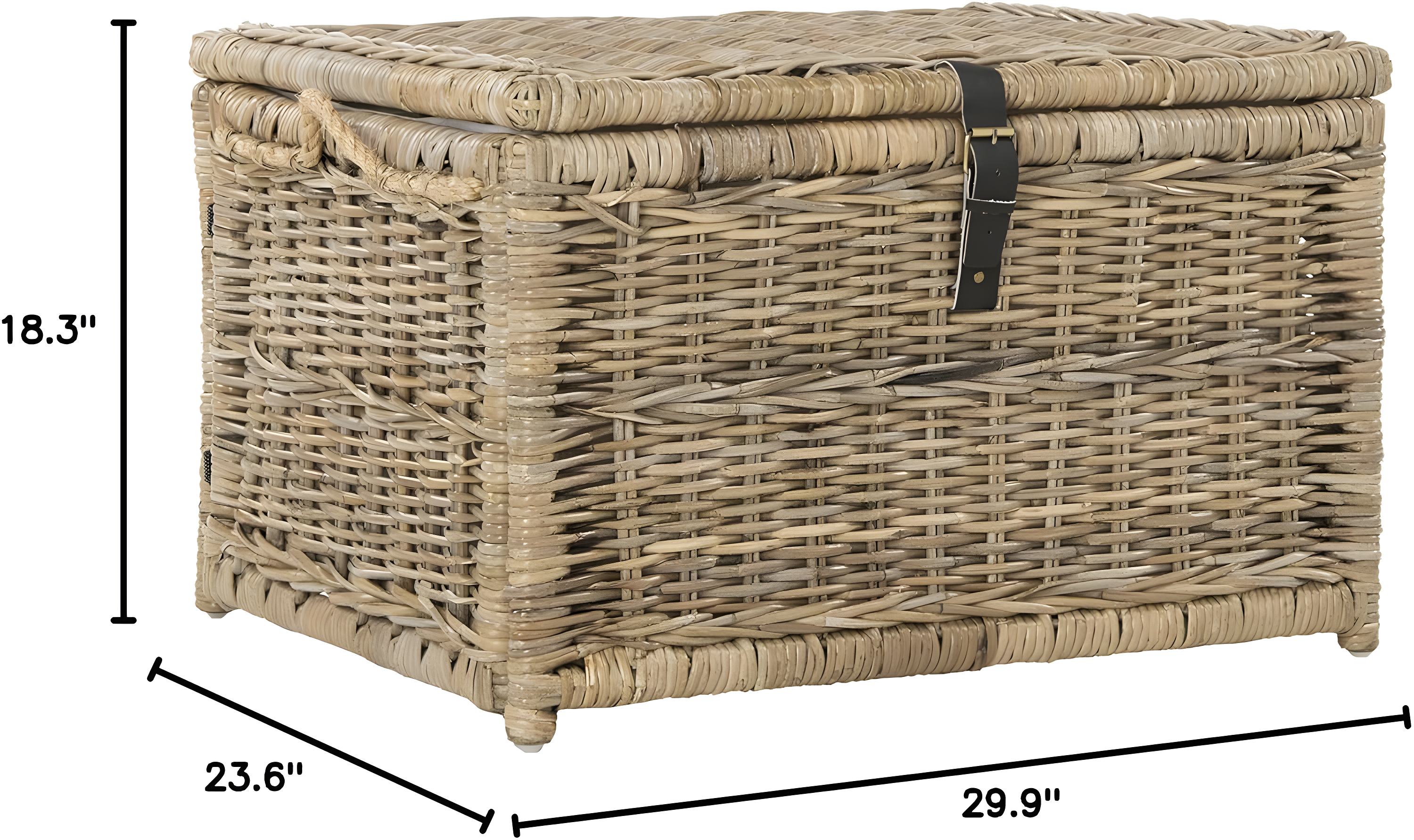 happimess Caden 30" Wicker Storage Trunk, Natural