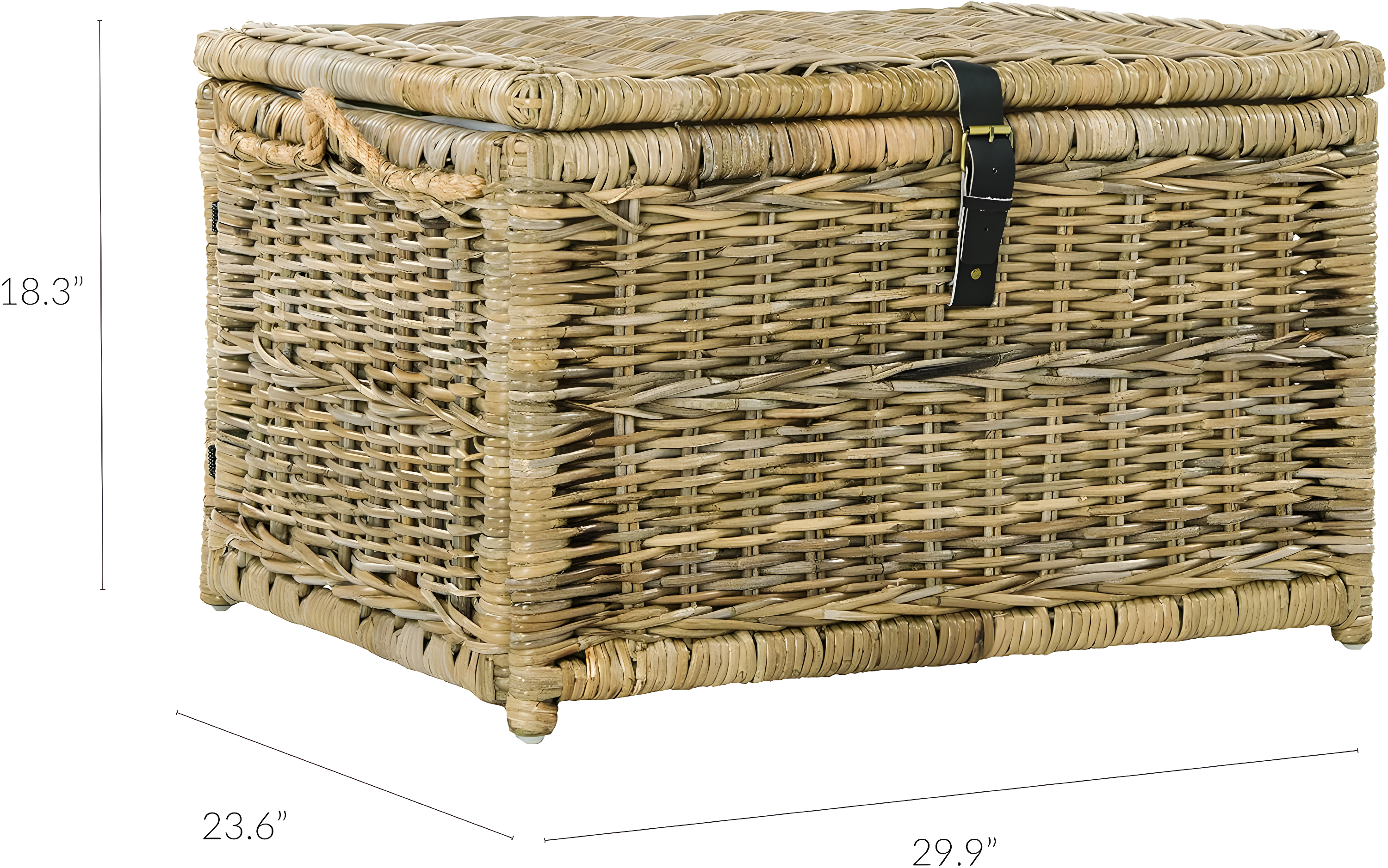 happimess Caden 30" Wicker Storage Trunk, Natural