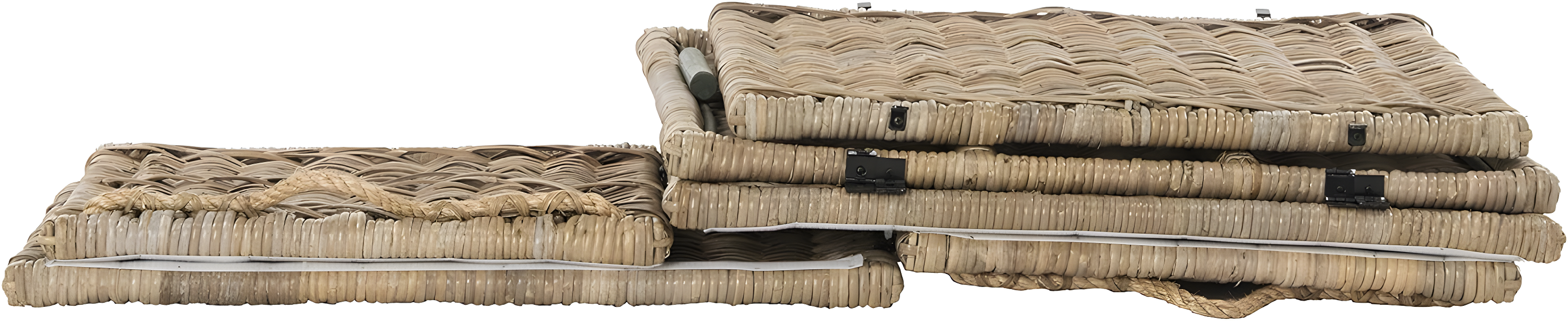 happimess Caden 30" Wicker Storage Trunk, Natural