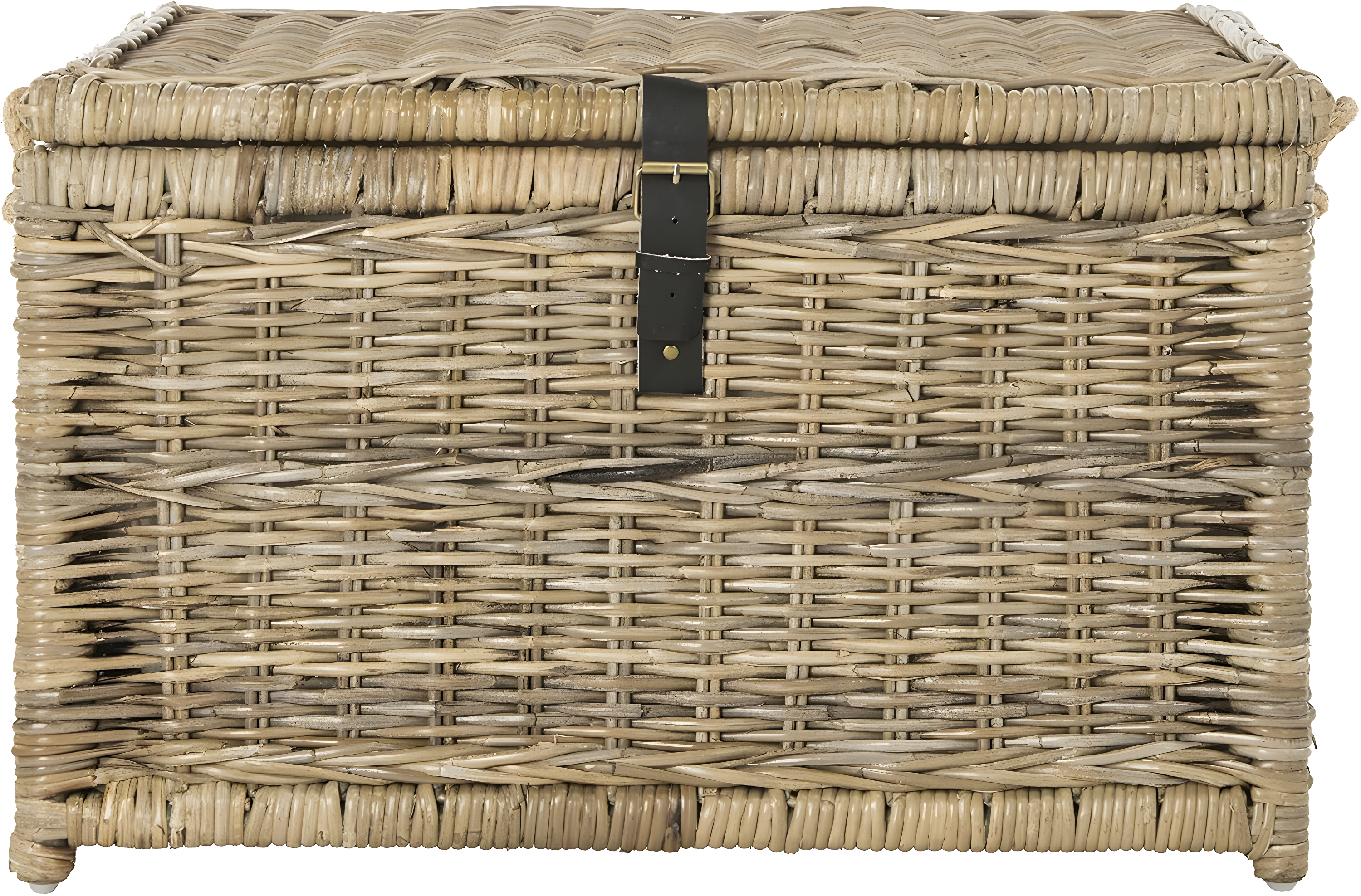 happimess Caden 30" Wicker Storage Trunk, Natural
