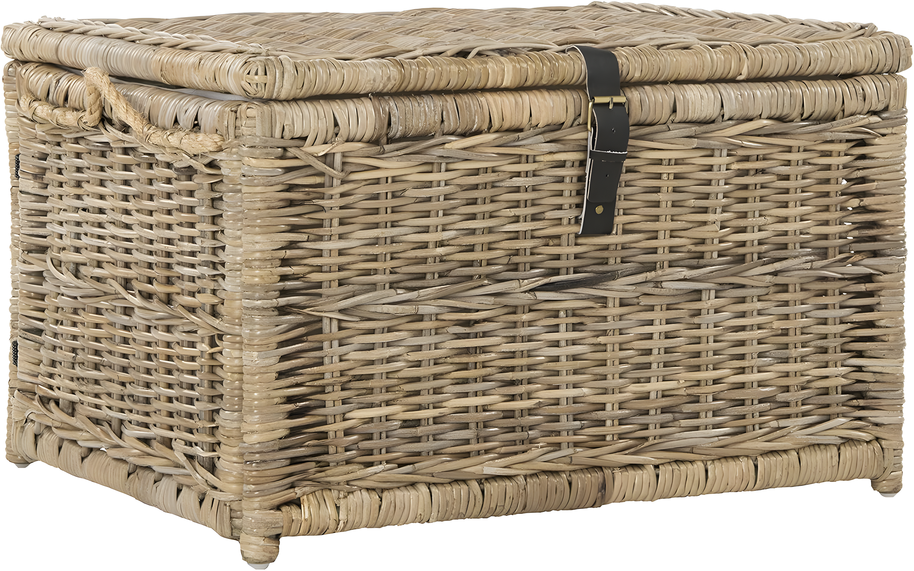 happimess Caden 30" Wicker Storage Trunk, Natural