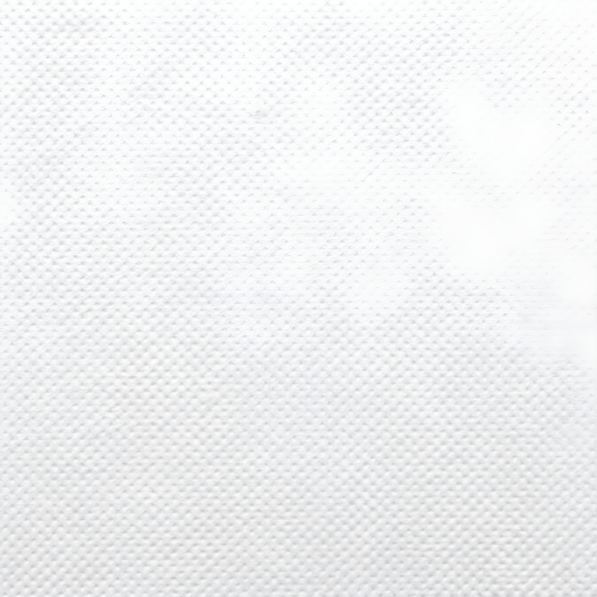 Twin XL White Water Resistant Zippered Mattress Protector