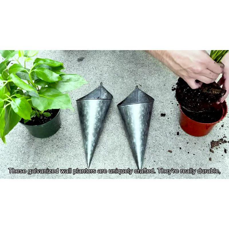 Hallops Galvanized Wall Planters 2 Cone Large