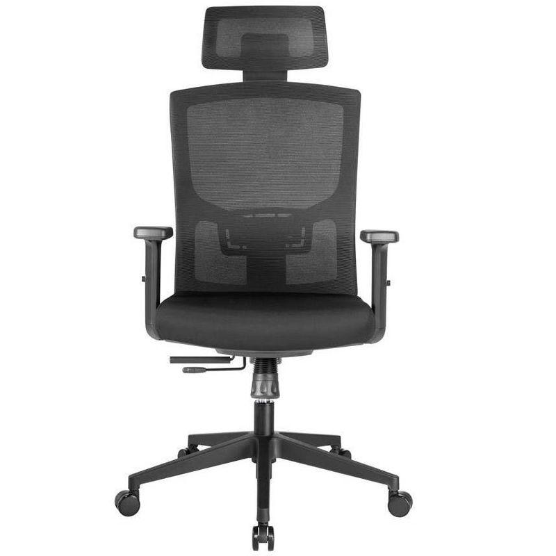 Black Mesh Ergonomic Task Chair with Adjustable Arms and Headrest