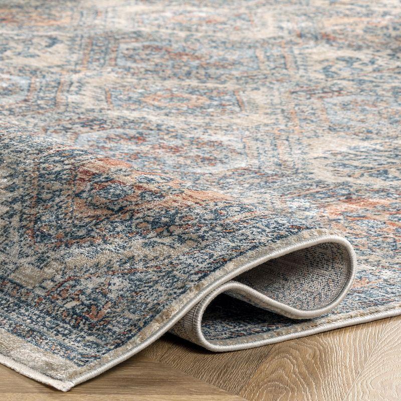 nuLOOM Sara Distressed Motif Area Rug