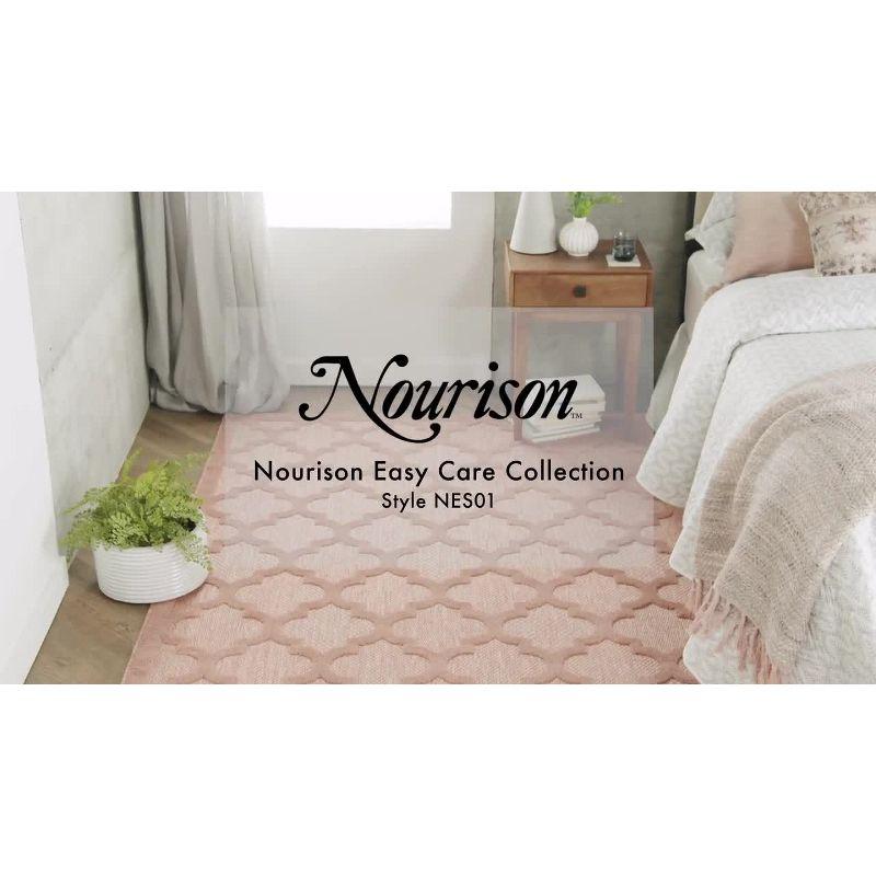 Nourison Trellis Outdoor Rug