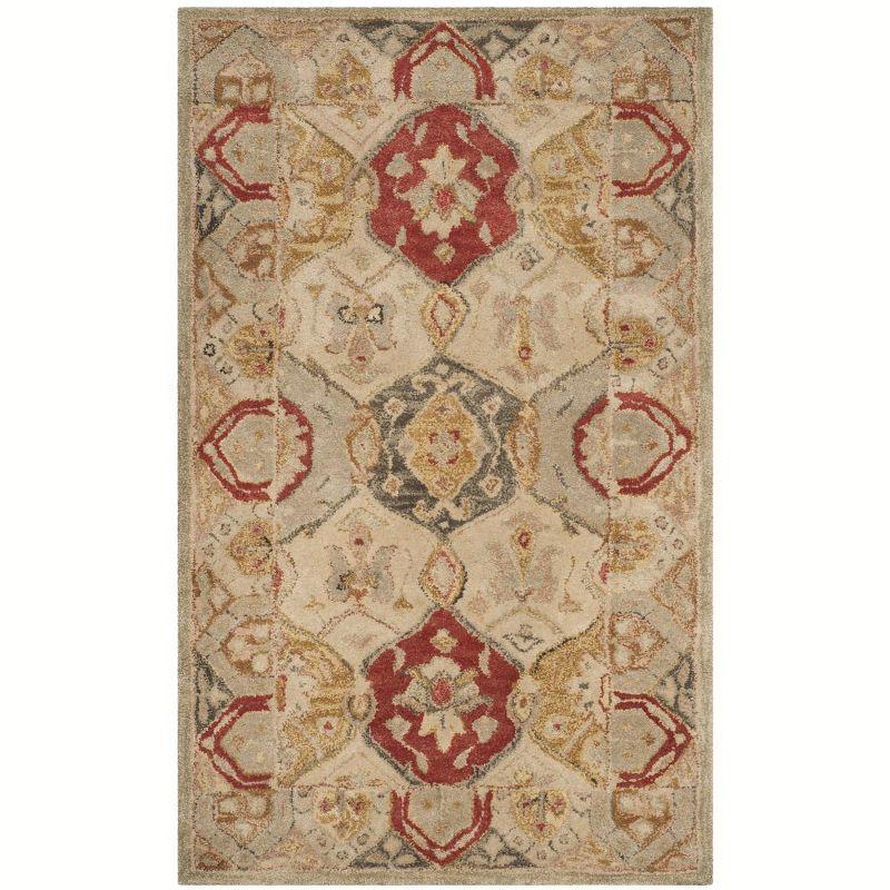 Antiquity Hand Tufted Wool Oriental Rug