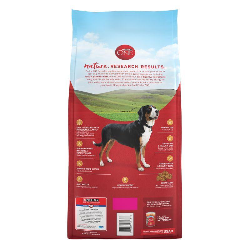 Purina ONE SmartBlend Natural Dry Dog Food with Chicken & Rice