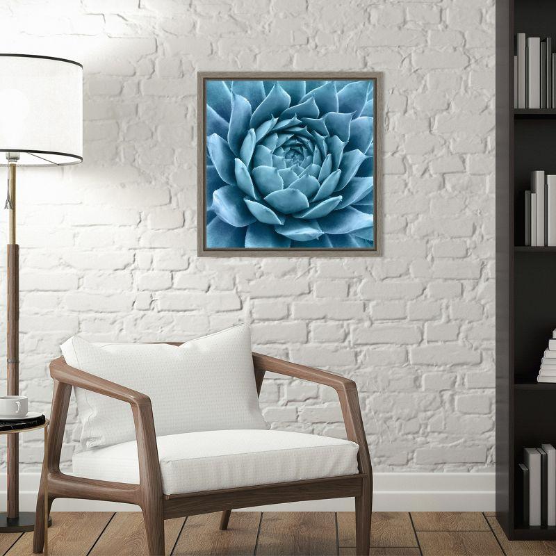 Amanti Art Silvery Blue Agave by Jan Bell Canvas Wall Art Print Framed 16 x 16-in.