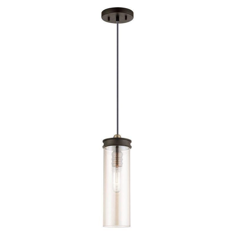 Livex Lighting Art Glass 1 - Light Pendant in  Bronze