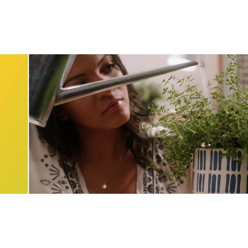 GE 2pk 60W A19 Light Bulb Soft White: LED, E26 Base, Dimmable, 800 Lumens, Energy Star Certified, 2700K, 13.7-Year Life