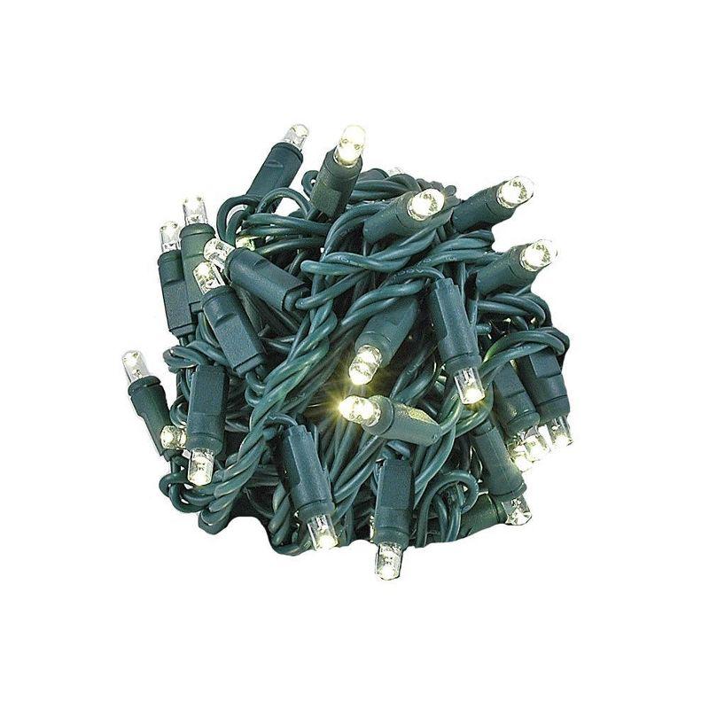 Novelty Lights Warm White LED Christmas String Lights 50 Mini Bulbs (Green Wire, 17 Feet)