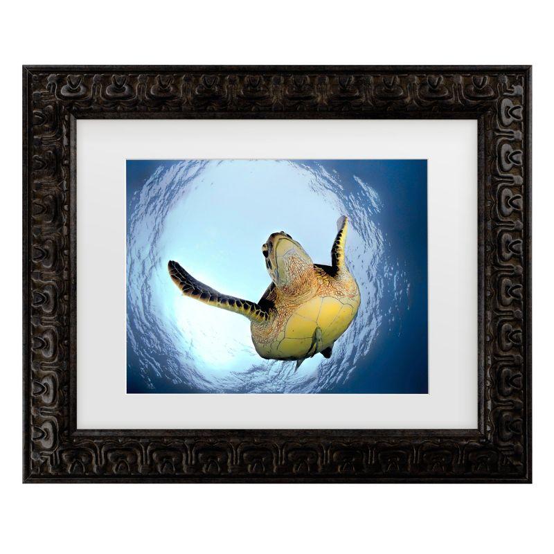Trademark Fine Art - Henry Jager Green Turtle In Snells Window Matted Framed Art - 11x14