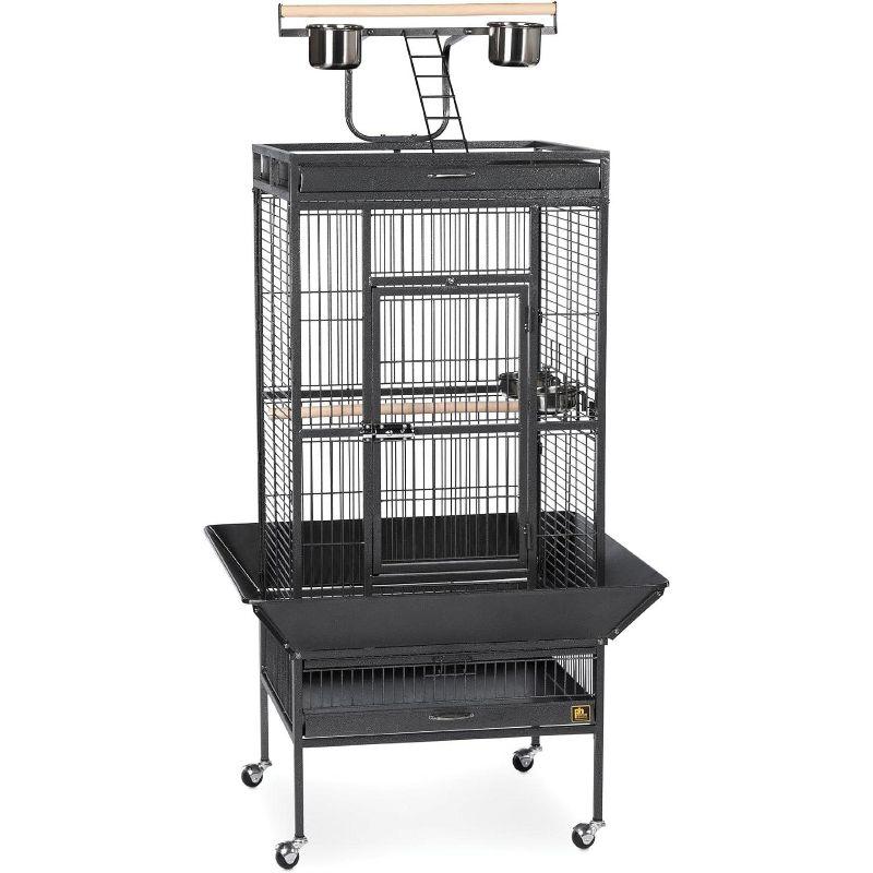 Medium Black Wrought Iron Bird Cage with Play Stand