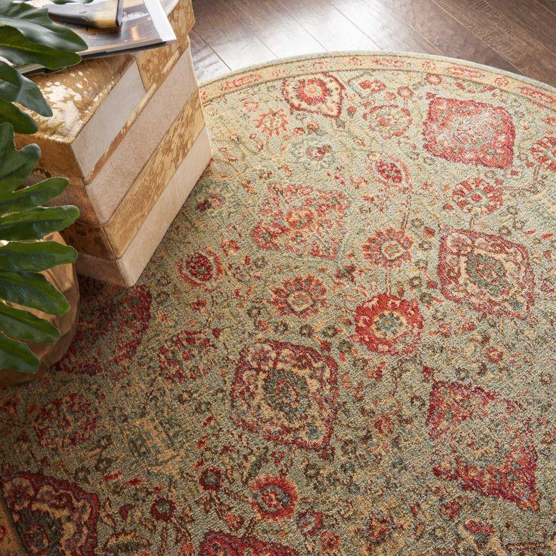 Nourison Somerset Vintage Bohemian Indoor Rug