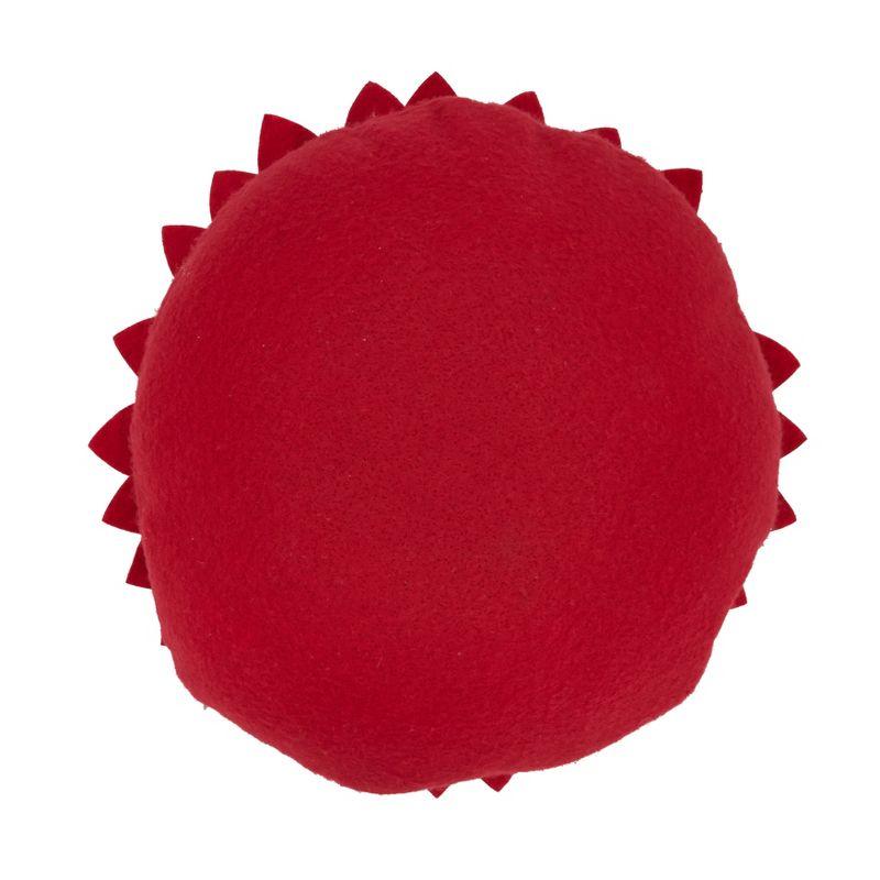 Saro Fleur De Jardin Collection Appliqued Throw Pillow