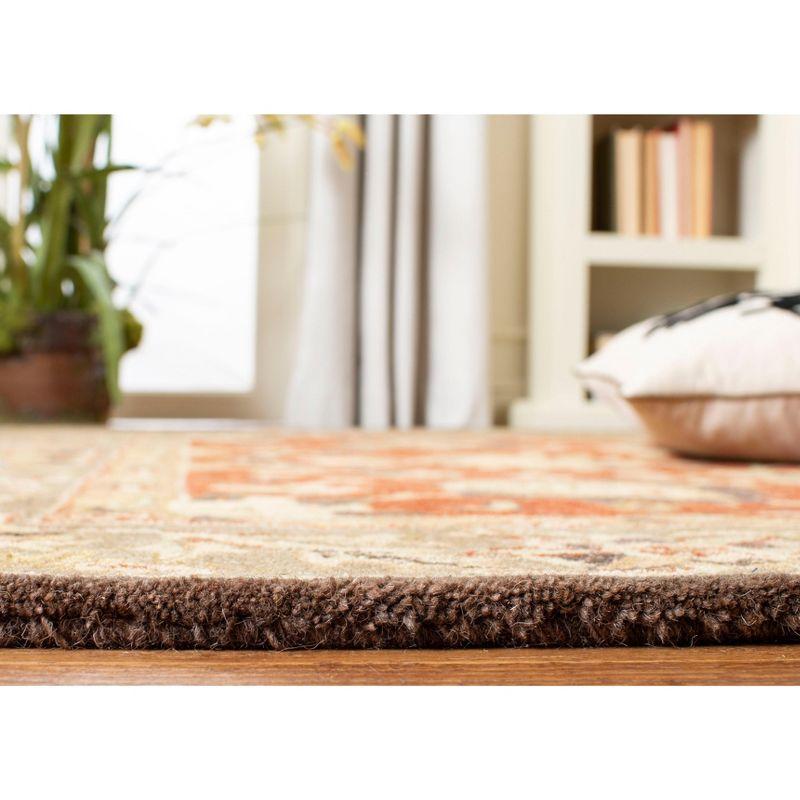 Anatolia AN512 Hand Tufted Indoor Rug -Safavieh