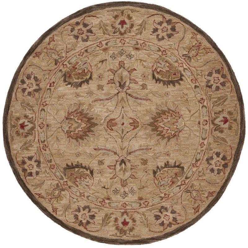 Anatolia AN512 Hand Tufted Indoor Area Rug - Beige/Beige - 4' Round - Safavieh