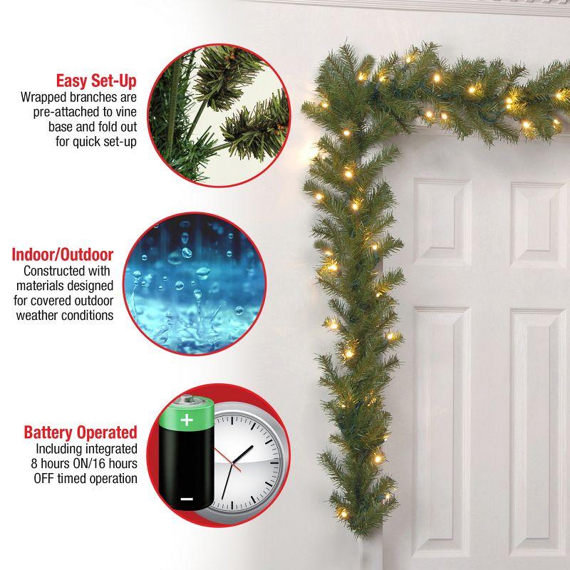 National Tree Company 9ft. Norwood Fir Garland with LED Lights