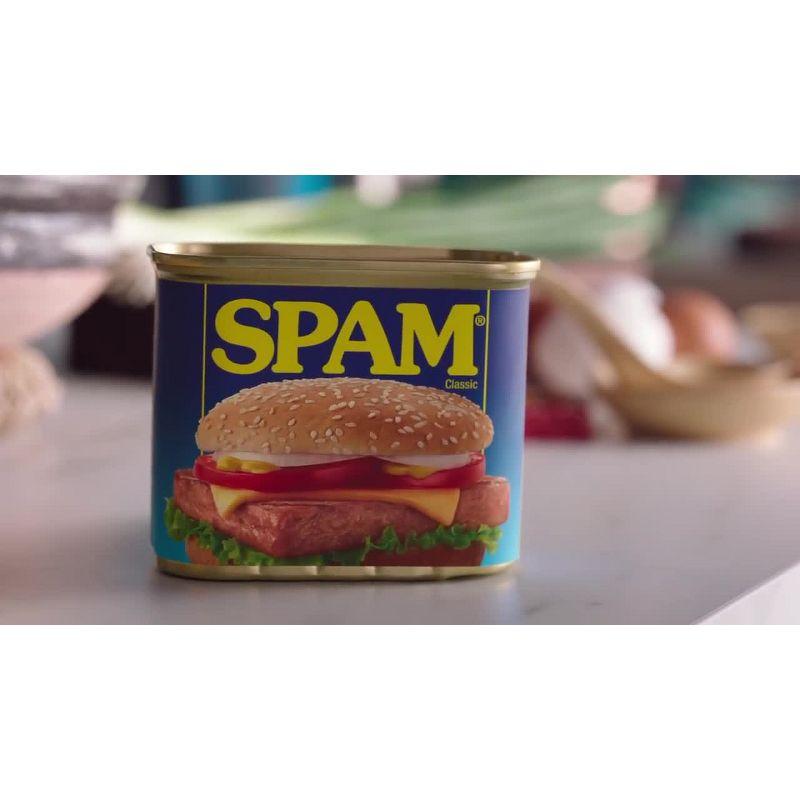 SPAM Single Classic Slice - 2.5oz