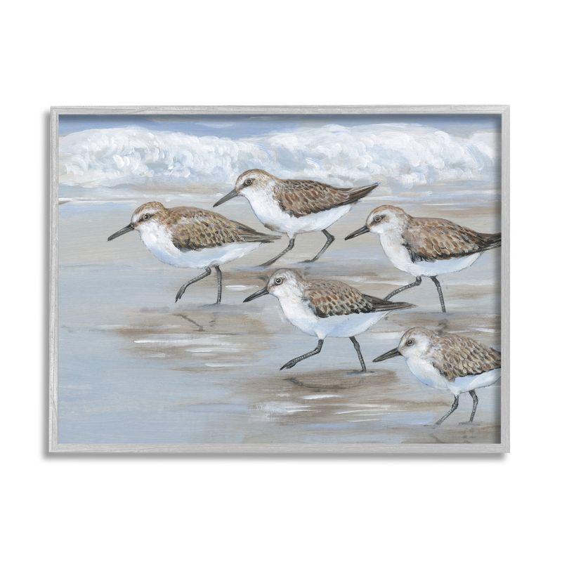 Sandpiper Bird Flock Coastal Canvas Print in Gray Frame