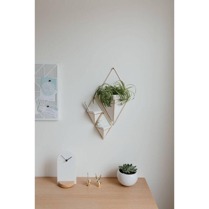 White and Brass Geometric Wall Planter Decor