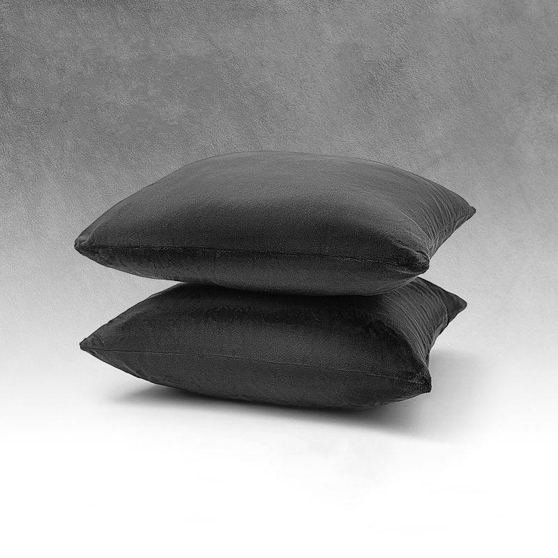Beauty Acrylic Kody Throw Pillow (Set of 2)