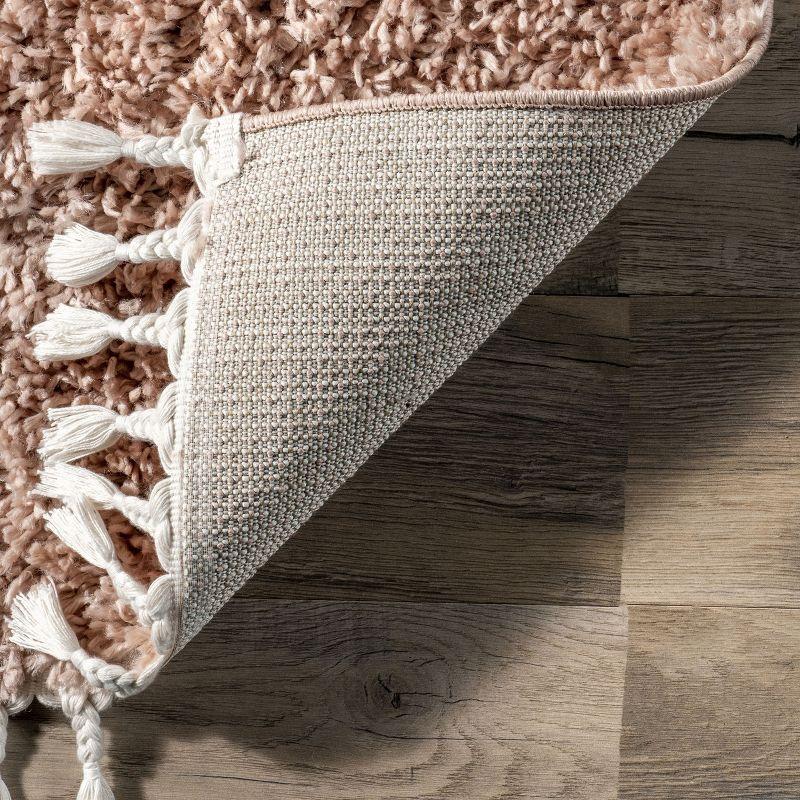 Luxe Braided Tassel Pink Shag Rug 2' x 3'