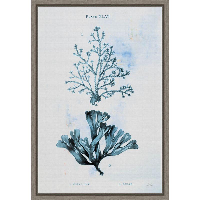 Blue Botanical Sea Plants Framed Canvas Wall Art 16 x 23