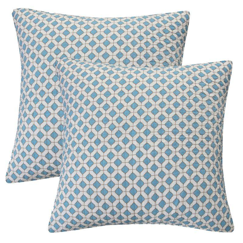 Blue and White Cotton Euro Sham Set of 2