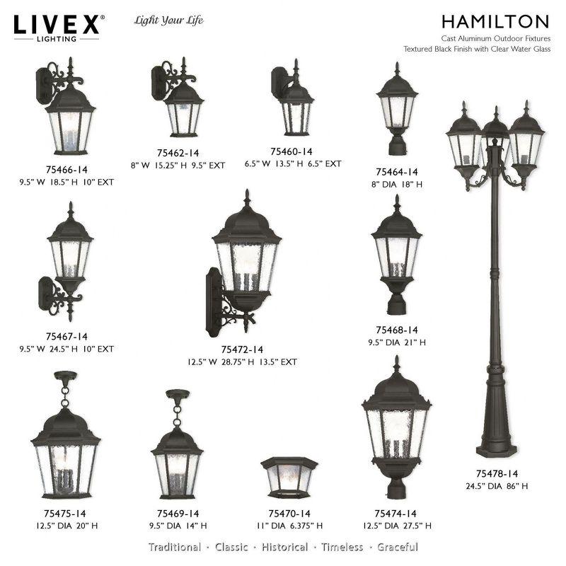 Livex Lighting Hamilton 3 - Light Pendant in  Textured Black