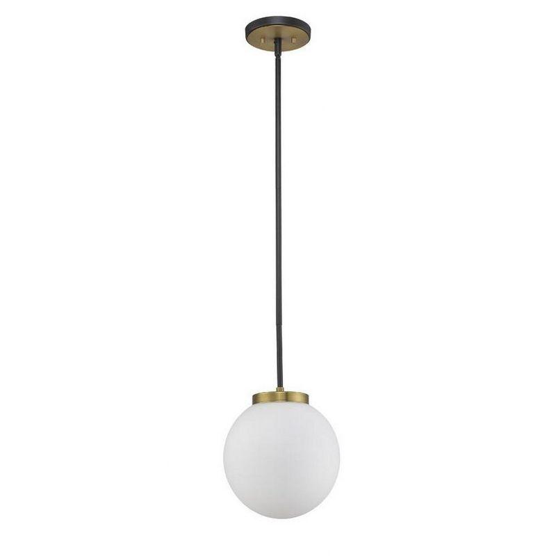 Z-Lite Parsons 1 - Light Pendant in  Matte Black/Olde Brass